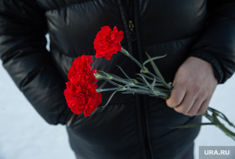 Акция памяти погибших при пожаре в Кемерове в ТЦ "Зимняя вишня". Сургут
, траур, две гвоздики