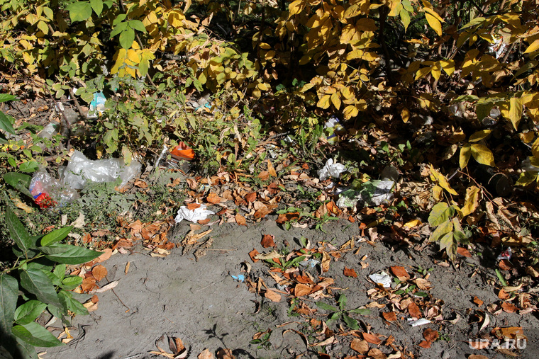 Курган, осень, мусор в кустах
