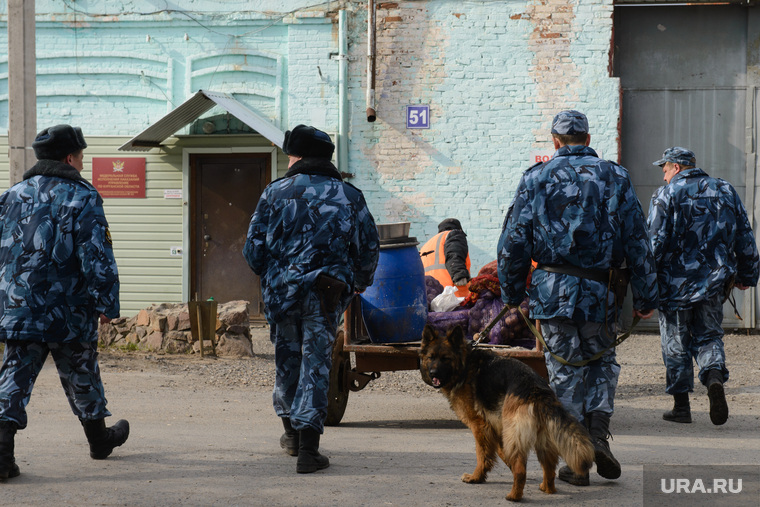 Поездка Евгении Чудновец и Андрея Мясникова в Катайск и Шадринск, заключенные, зона, конвой, колония, гуфсин, отработка, уголовники, сизо2 шадринск, следственный изолятор шадринск, место заключения, зэки