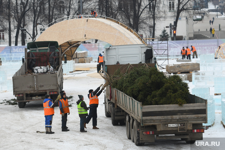 Небольшие ели в город уже привезли, а вот с главной елкой возникли проблемы