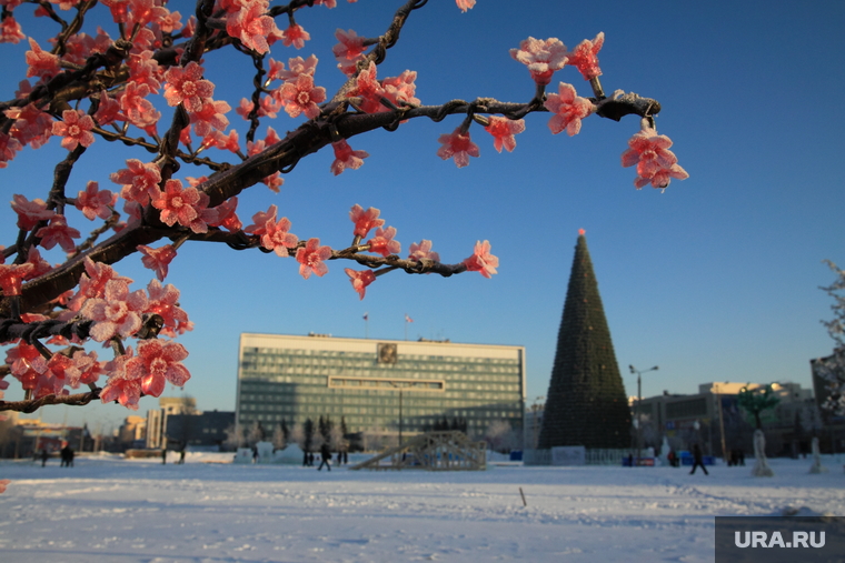 Зимние виды города Пермь, зима, город пермь, гирлянда цветов, елка на площади