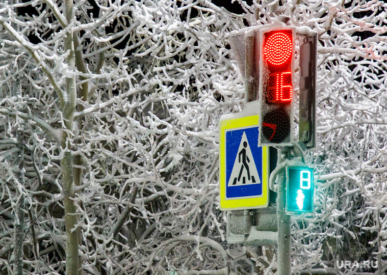 Виды Салехарда, светофор, снег, пешеходный переход, зима, иней, мороз