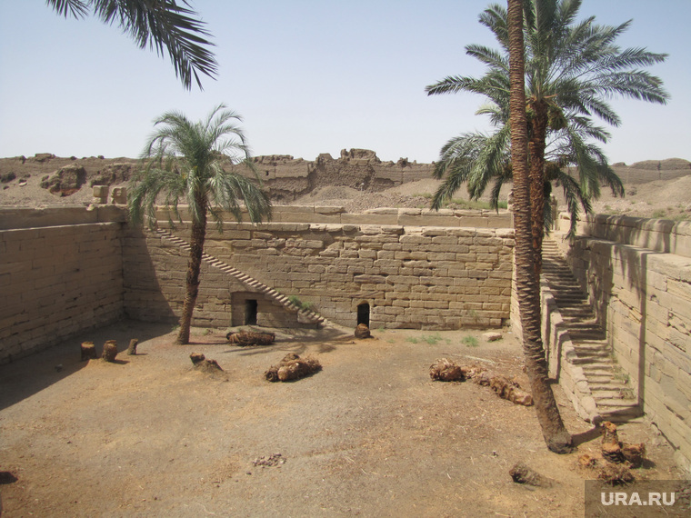 Египет, отдых туристов, пальмы, бассейн клеопатры, древний храм
