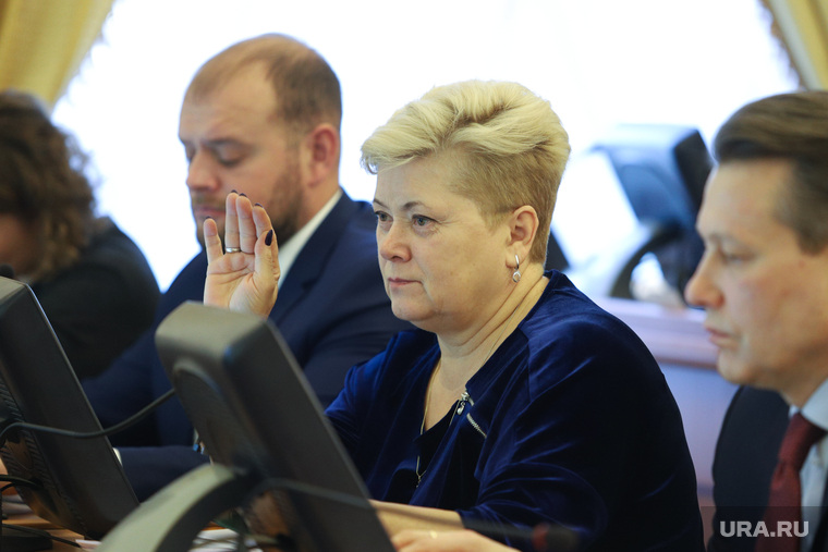 Заседание правительства Курганской области, бугаева ирина