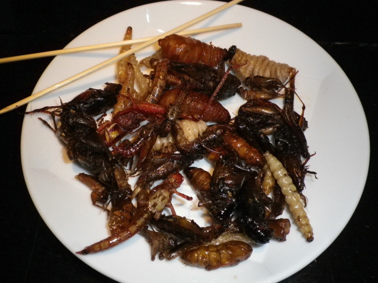 Во многих странах блюда из насекомых не являются чем-то необычным