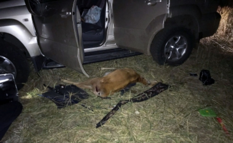 Челябинский силовик погиб при ДТП во время браконьерской охоты в Зауралье