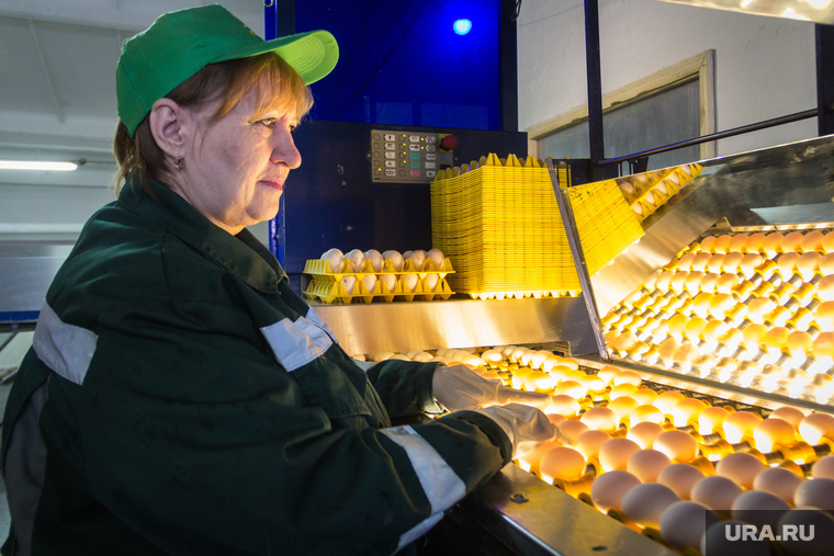 Пасхальная экскурсия на хлебокомбинат и птицефабрику «СИТНО». Магнитогорск, продукты, яйца, птицефабрика, проверка качества, еда