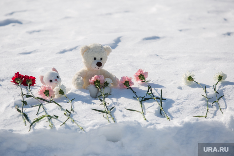 Акция памяти погибших при пожаре в Кемерове в ТЦ "Зимняя вишня". Сургут
, детские игрушки, гвоздики, цветы на снегу