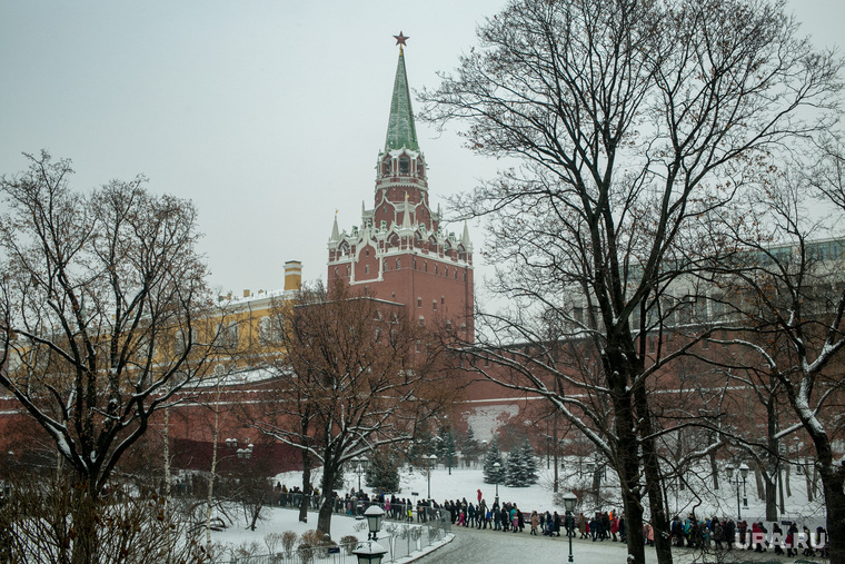 Новогодняя елка в Кремле. Москва, очередь , город москва, кремль, троицкая башня кремля, александровский сад