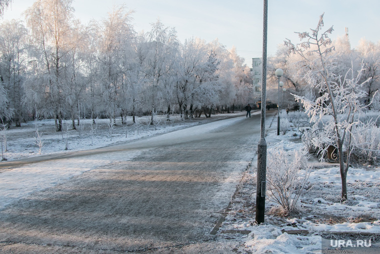 Разное. Курган, снег, зима, городской сад, природа, иней на деревьях