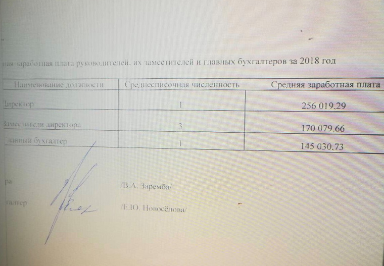 Зарплата директора КДК Александра Зуева — 256 тыс. рублей