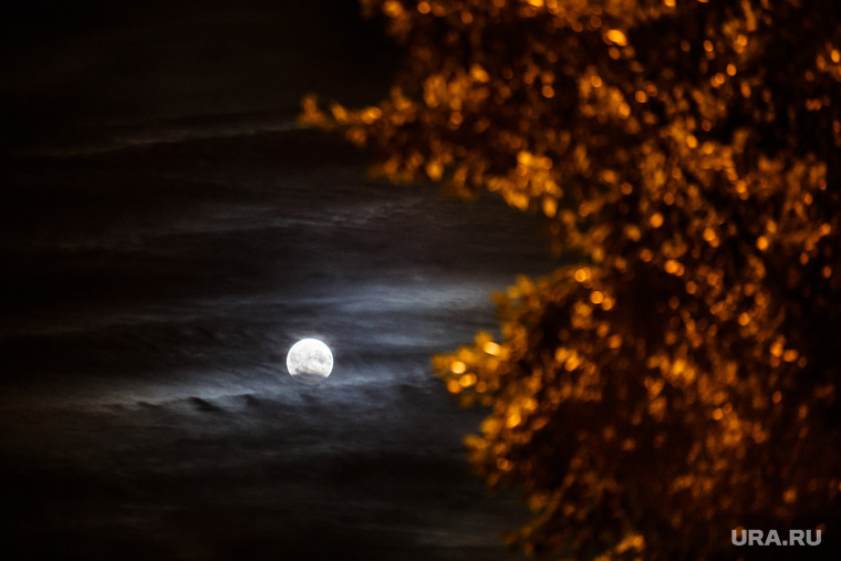 Лунное затмение. Екатеринбург, луна, ночь, лунное затмение