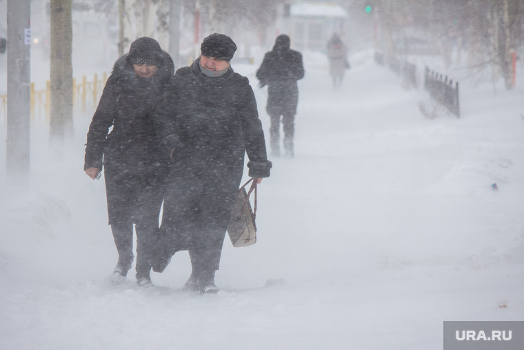 Снег в городе. Нижневартовск, снег, зима, метель