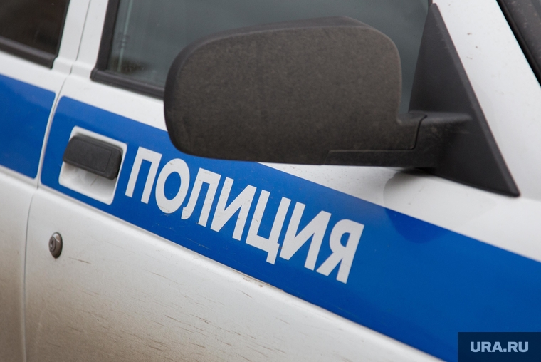 В Прикамье хулиганы напали на девушку-кота и пытались отобрать у нее голову. ВИДЕО