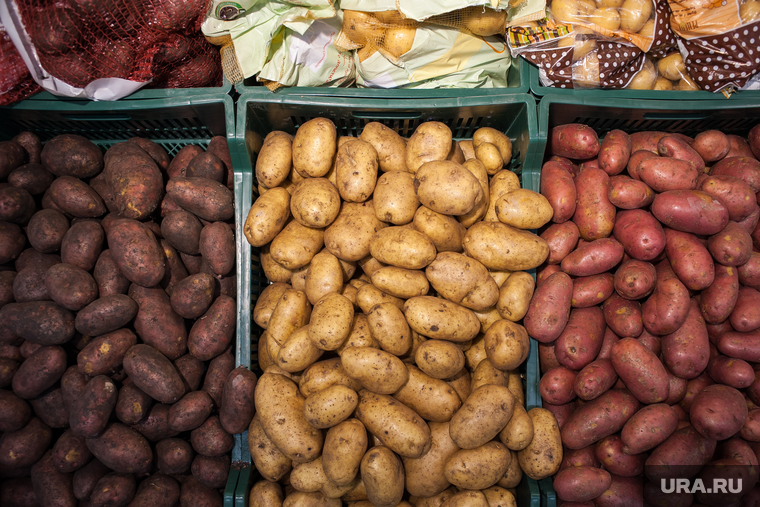 Открытие супермаркета «Перекресток». Екатеринбург, овощи, продуктовый магазин, картофель, картошка, прилавок