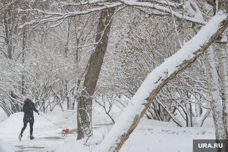 Мартовский снег в Екатеринбурге, снег, зима, выгул собак, парк, снег в городе, прогулка по парку