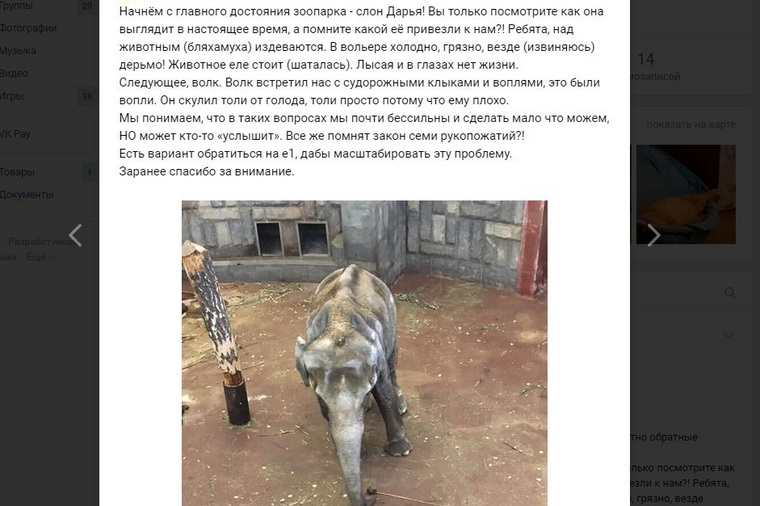 Анонимный пост о нелегкой судьбе слонихи Даши собрал тысячи лайков и сотни комментариев