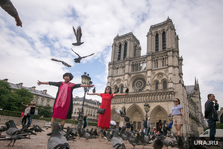 Виды Парижа. Париж, голуби, париж, франция, нотр дам де пари, собор парижской богоматери