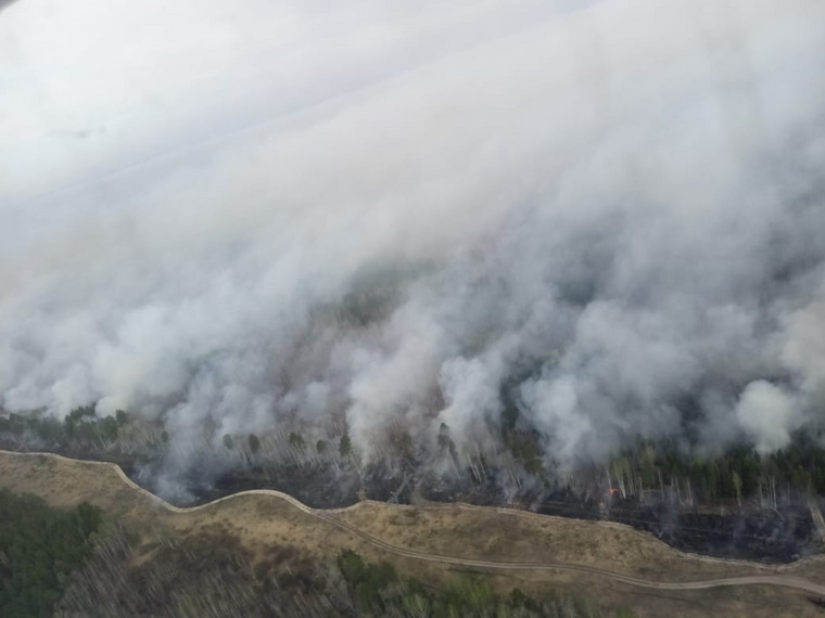 Дальнейшее развитие ситуации с лесными пожарами в Курганской области зависит от погоды