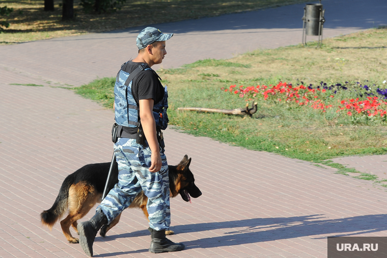 Митинг многодетных Челябинск, собака, кинолог, полиция, кинологическая служба