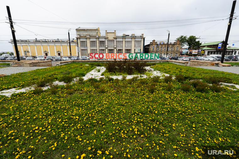 Несостоявшаяся гордость Челябинской области желта от одуванчиков