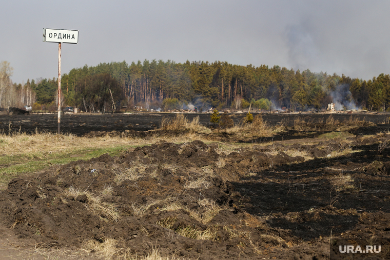 Деревня Ордина в Белозерском районе выгорела почти дотла