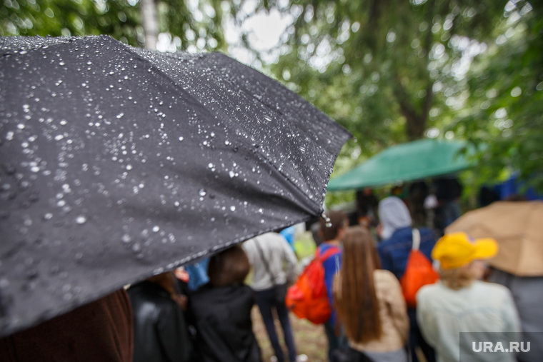 Дождь, Курара и коммунальные платежи, капли, зонтик, дождь