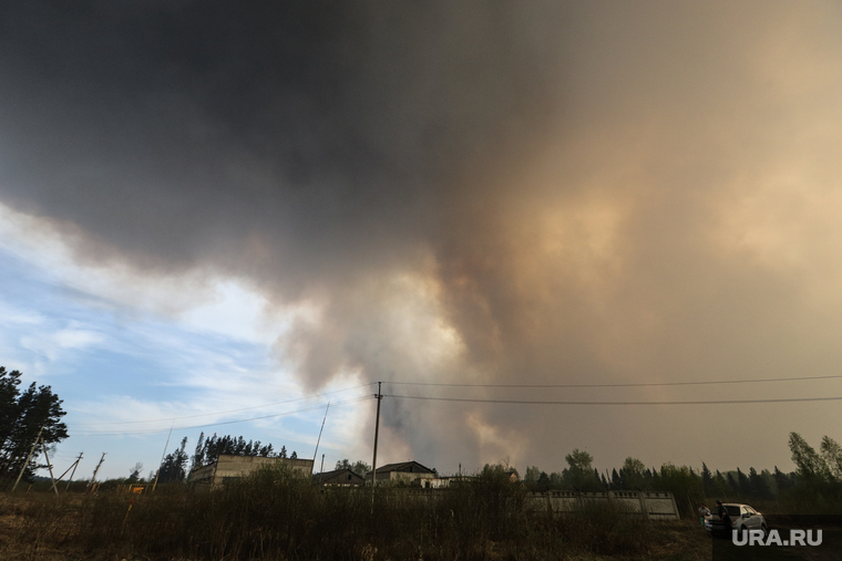 В мае от крупных лесных пожаров страдала Курганская область