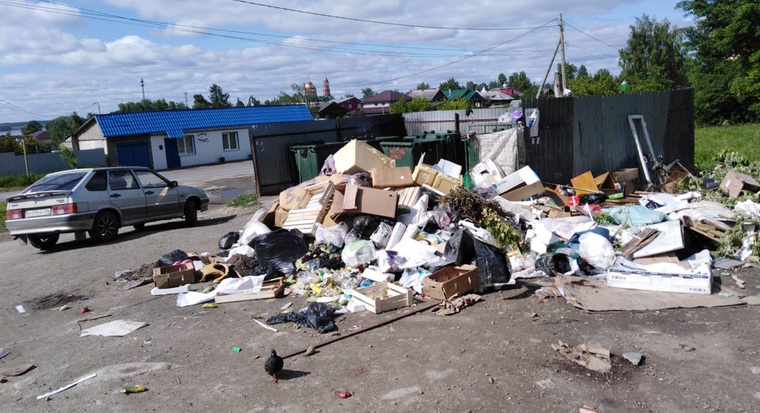 Путину прислали фотографию с горой мусора