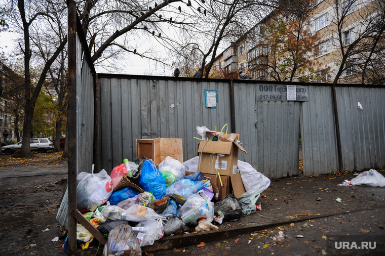 В мэрию Челябинска полгода поступают жалобы на вывоз мусора