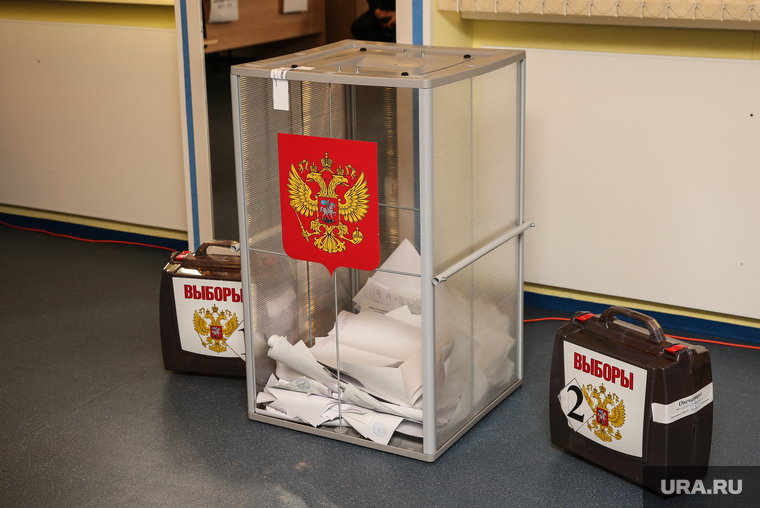 Выборы 2014. Сургут, топ, урна для голосования, выборы 2024