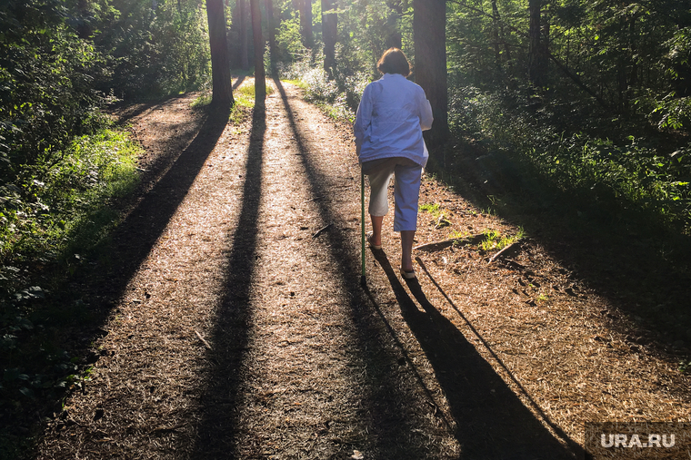 В Югре несколько суток ищут пенсионерок, пропавших без вести в лесу
