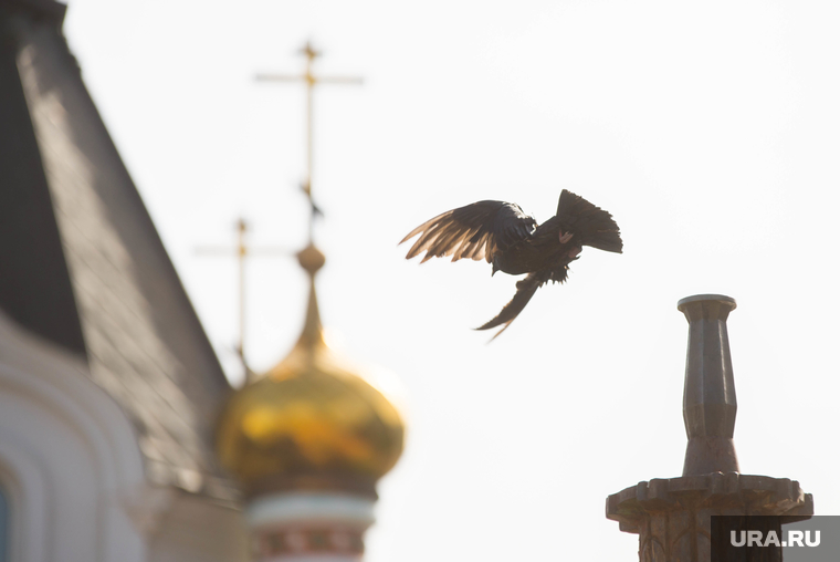 Плотинка. Екатеринбург, купола храма, птица