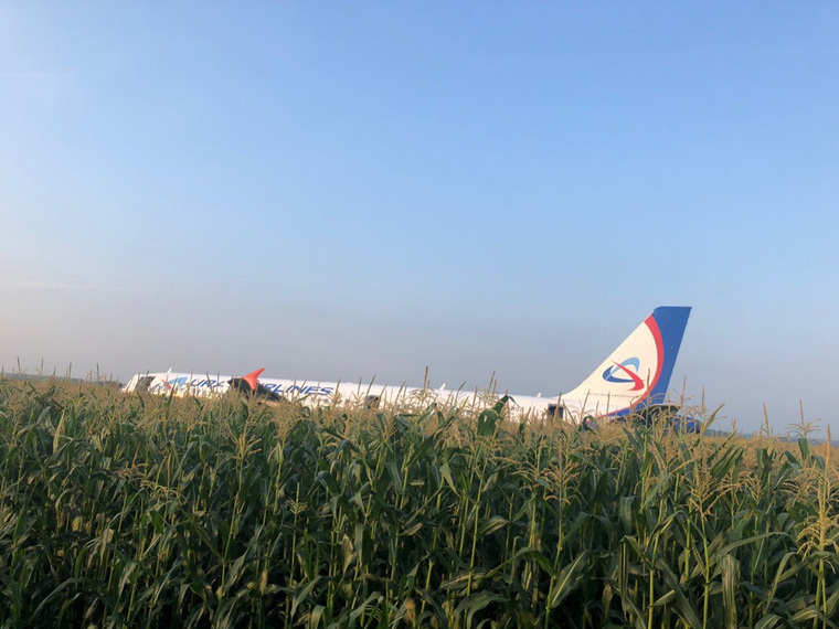Самолет сел на брюхо посреди кукурузного поля
