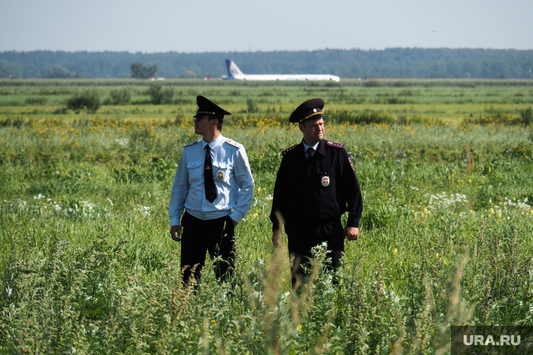 Самолет «Уральские авиалинии», совершивший аварийную посадку на кукурузном поле. Московская область, уральские авиалинии, airbus А321, полиция, сотрудник полиции, аварийная посадка, аэробус а321, эйрбас