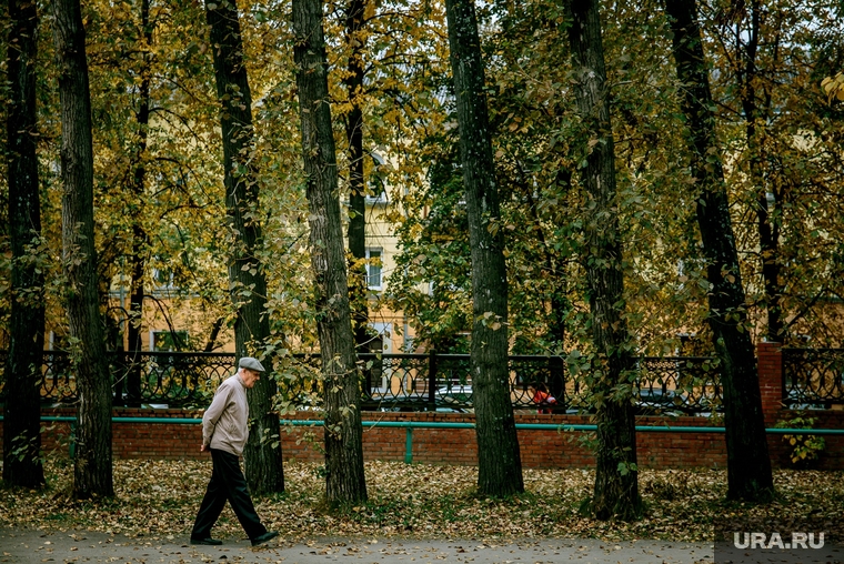 Виды города. Екатеринбург, старость, парк, прогулка по парку, осень