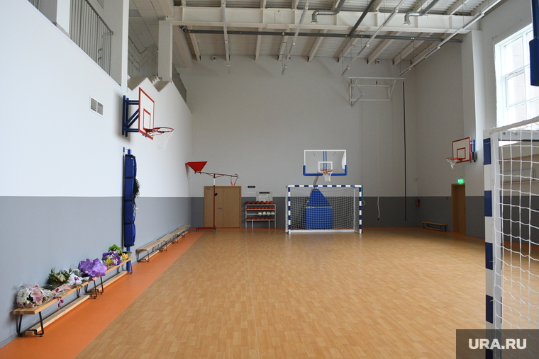 Дети смогут заниматься в современных спортивных залах