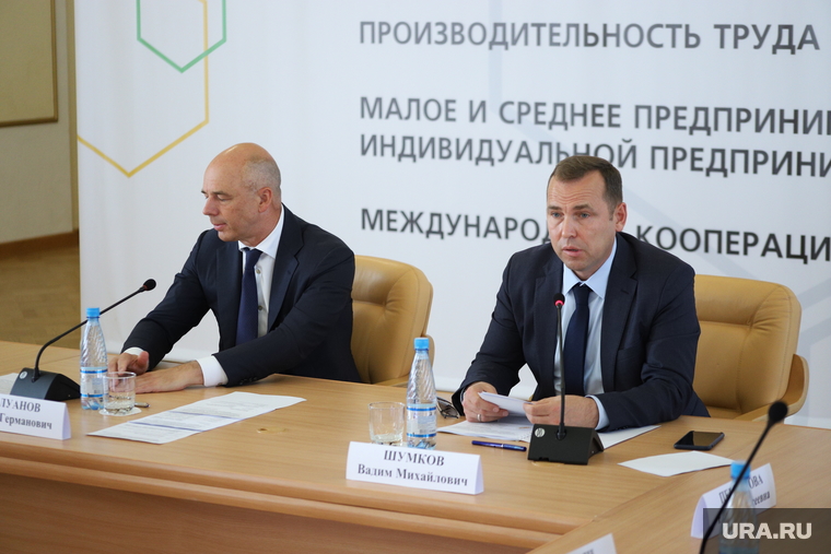 Национальные проекты 2018-2024. Курган, шумков вадим, силуанов антон