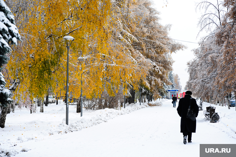Клипарт по теме Погода. Челябинск., тротуар, снег, пешеход, желтые листья, заморозки, гололед
