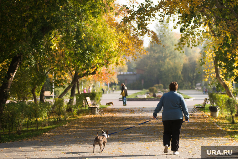 Осенний Екатеринбург, парк, прогулка с собакой, осень