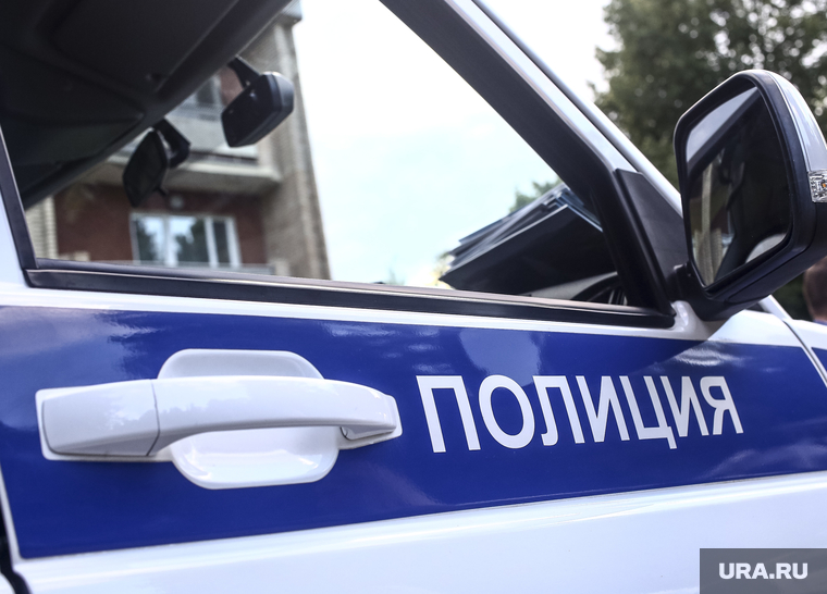 Семинар-совещание и заседание Государственного Совета в "Мастерской управления Сенеж". Москва, полицейская машина, полиция