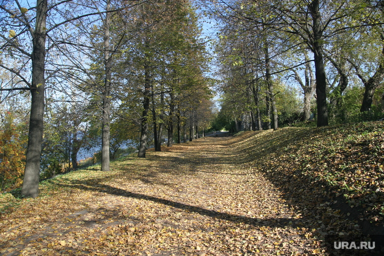 Осень жанровые фотографии Пермь, листва на тротуаре, осень