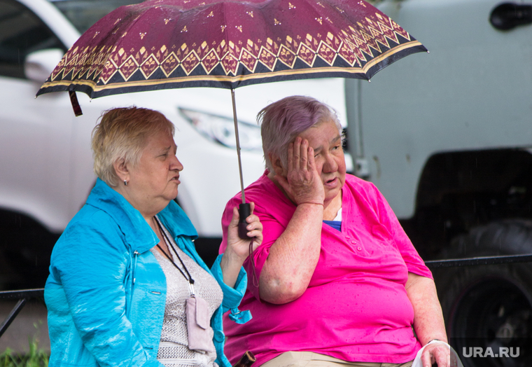 Дождь и солнце. Санкт-Петербург., пенсионерки, бабки, сплетни, зонт, дождь