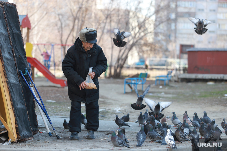 Виды города. Смог. Старые гаражи. Курган, пенсионер, дедушка, кормление птиц