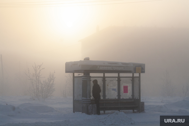Мороз и ледяной туман. Салехард. 31 января 2019 г, зима, арктика, остановка транспорта, мороз, туман