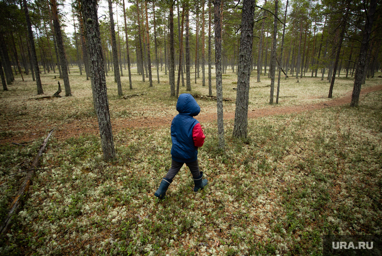Ханты Сургутского района, семья Клима Кантерова. Лянтор, лес, сосновый бор, тайга, ребенок в лесу
