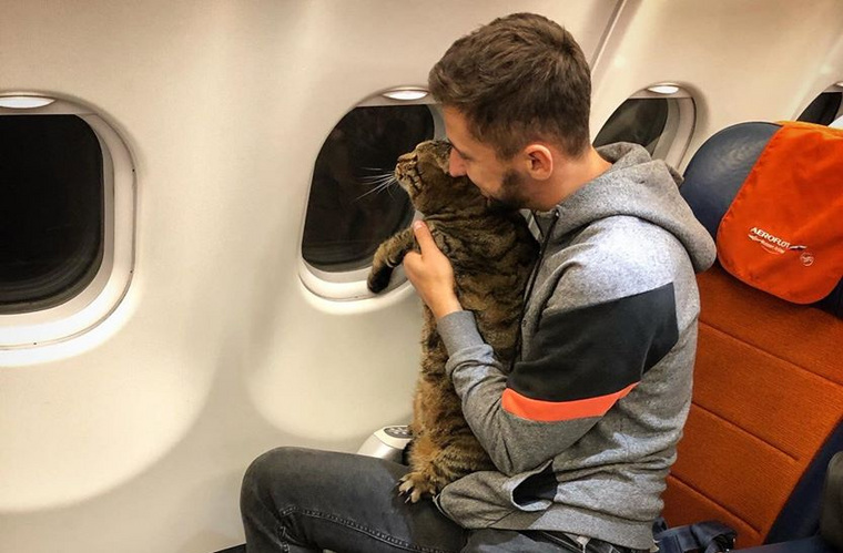 Михаил Галин не хотел сдавать кота в багаж, так как волновался за его здоровье