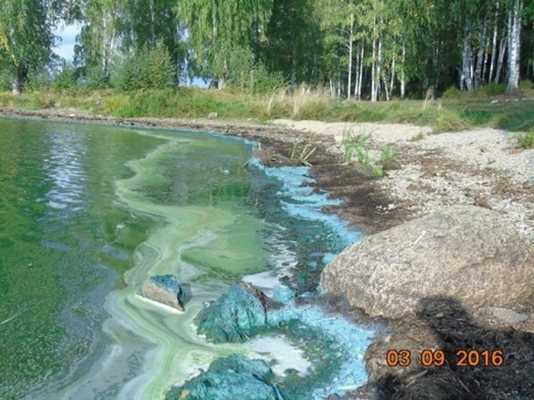 На дне Черноисточинского пруда могут находиться опасные вещества
