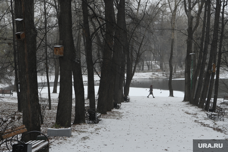 Виды города. Екатеринбург, снег, зима, харитоновский парк, поздняя осень
