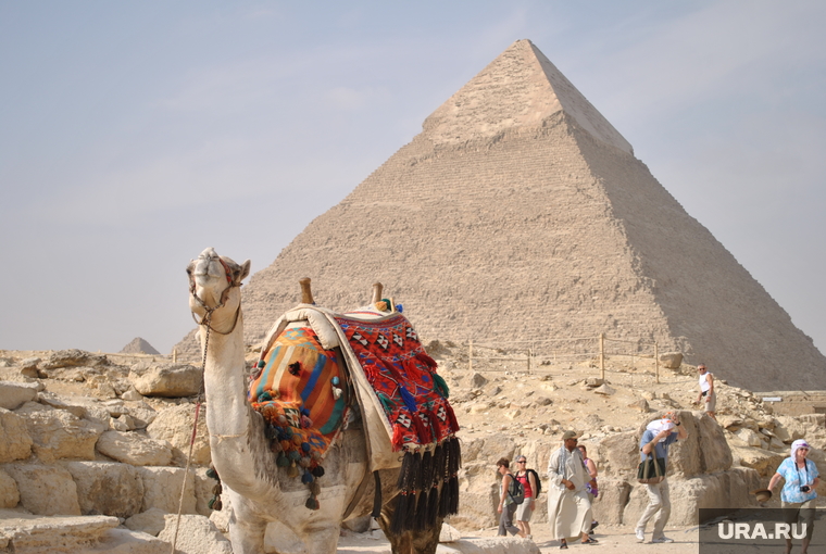 https://s.ura.news/760/images/news/upload/news/410/520/1052410520/160538_Klipart_verblyud_piramida_egipet_Kair_250x0_2896.1945.0.0.jpg